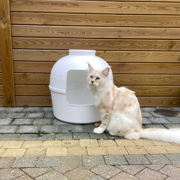 Kattenbak Flower XXL, verborgen kattentoilet (Wit)