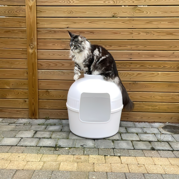 Kattenbak Flower XXL, verborgen kattentoilet (Wit)