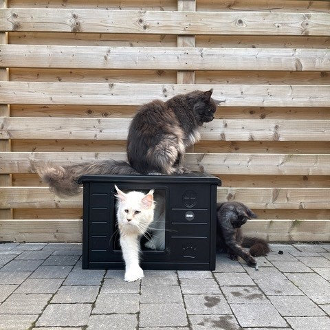 Kattenhuis Villa de Luxe voor binnen en buiten (Blackline)