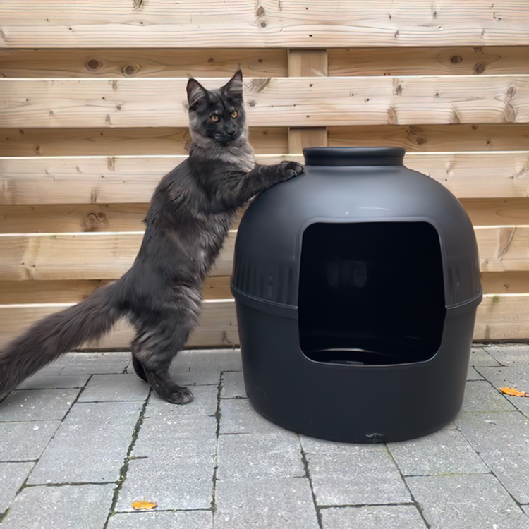 Kattenbak Flower XXL, verborgen kattentoilet (Blackline)