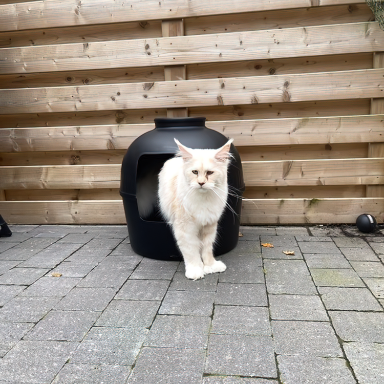 Kattenbak Flower XXL, verborgen kattentoilet (Blackline)