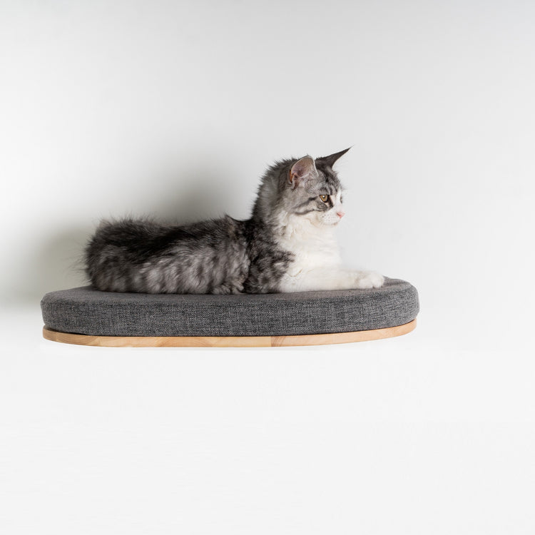 Wandmeubel Klimmuur Kat - Luxe Kattenbed (Grijs)