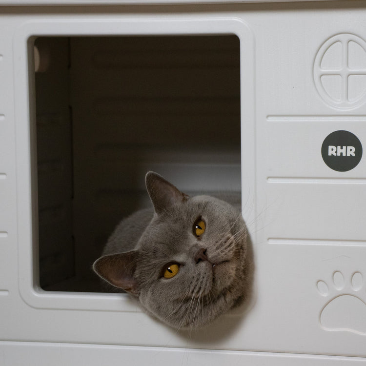 Kattenhuis Villa de Luxe voor binnen en buiten (Wit)